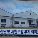 티원개발