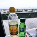 어진이네횟집 | 서귀포 보목 맛집 어진이네횟집 후기 | 자리물회·한치물회 원조 맛집