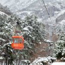 모노랜드 이미지