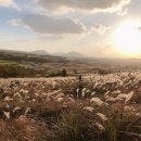 그레이튼호텔 이미지