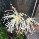 성환 행정사 사무소 이미지