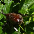 자연의 품 이미지