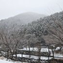 계곡에풍덩펜션캠핑장 이미지