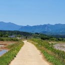 애국지사 구국충정 이미지