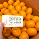 유현농장 이미지