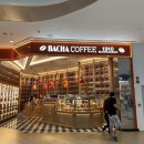 케냐삽55(kenya#55) | Bacha Coffee 바차커피(바샤커피) 네비게이터 원두 추천 후기