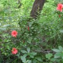 풍경공원 화장실 이미지