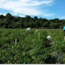 대풍농장 이미지