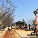 우항공원 이미지