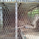 은행목장 이미지