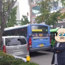 선진보라매