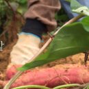 논밭상점 이미지