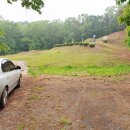 진화 묘 이미지