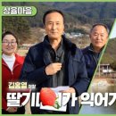 밤섬마을회관 네이버블로그