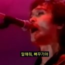 뻐꾸기복사 이미지