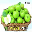 산들정