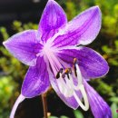 상록구여성합창단 제19회 정기연주회 이미지