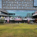 공일오비콘서트 | 2025 동행콘서트 with 전주 행사 무대 LED 영상장비 설치 운영 후기 (2025.09)