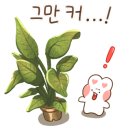 파블리