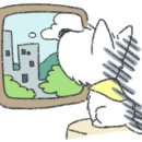 소중한 개 이미지