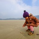 풀등이야기 이미지