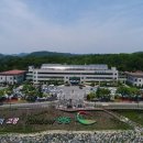 영동군정신건강복지센터 이미지