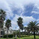 농협은행제주수련원해오름 | 농협은행 제주수련원 4인실 후기(조식쿠폰,사우나,수영장)