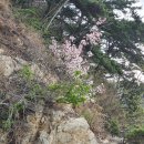 효자도보건진료소 이미지