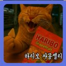 지에스(GS)25 무교YG타워점 | GS25 하리보 자몽 젤리 1+1, 상큼한 디저트의 끝판왕, 편의점에서 만난 달콤쌉싸름한 매력