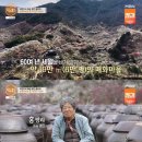 세상매실