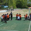 충화초등학교 이미지