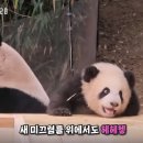 생활을판다 이미지