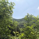 솔잎향 | [경기/안산] 수리산 🏔️ _솔잎향 가득한 수암봉 도착 후기