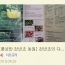 풍성한 천년초농원 | [풍성한 천년초 농원] 천년초의 다양한 맛을 보다!! 체험단 후기-현이맘님