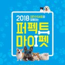 퍼펙트 마이펫 네이버블로그