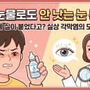 H1611 네이버블로그