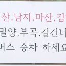 천일여객 영산정류소 이미지