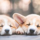 성모약국 이미지