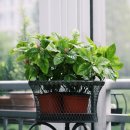 산호수농장 이미지