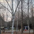 가온오토캠핑장 | 강원도 오토캠핑장 추천, 홍천 계곡 캠핑 가온휴양빌리지 솔직후기