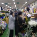 매탄1동 194-1~매탄1동 153-23 | 강남 고속버스터미널 꽃시장 위치 영업시간 주차정보