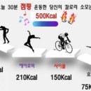 뻔뻔한점핑밸런스다이어트 이미지