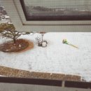 오즈 키즈 풀빌라 펜션 이미지