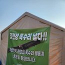 협동조합머물다가 | 파주 아이와 가볼만한곳 파주 독수리식당 철새 월동지 탐조체험 방문후기(운영기간 추천시기)
