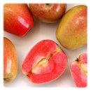 Mountain Rose Apples, 속 붉은 사과/ 세계 희귀종 이미지