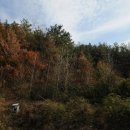 대서면사무소 이미지