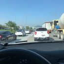 위례나무동물병원 이미지