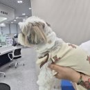 신월7동주민센터 이미지