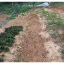 은석농장 이미지