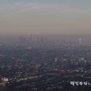 피 엘에이 이미지